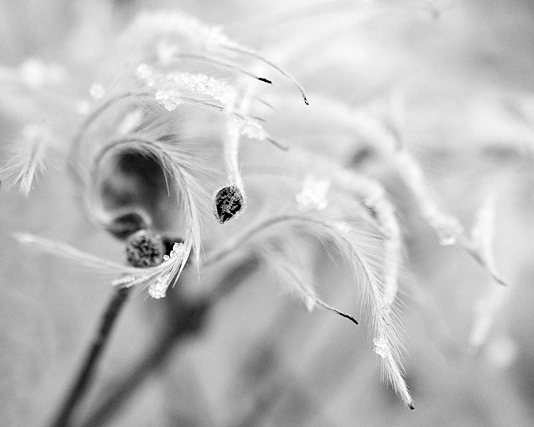 Příloha komentáře