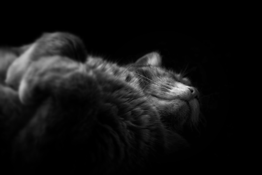 Příloha komentáře