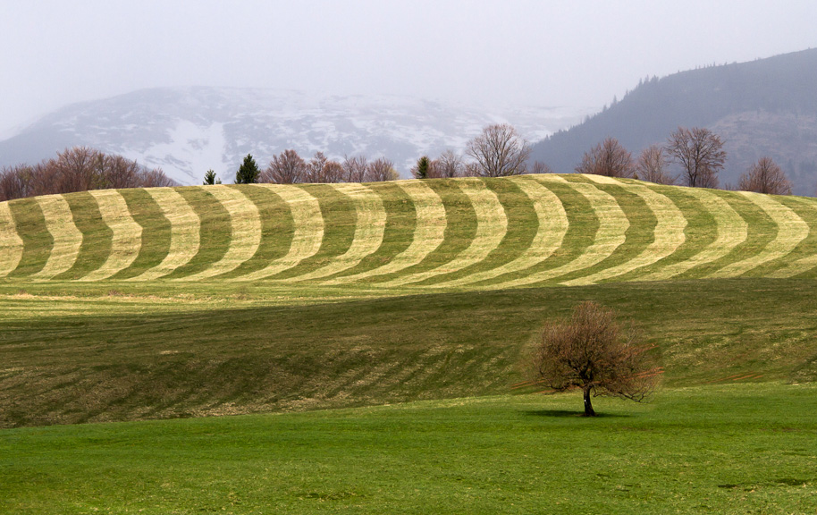 Příloha komentáře
