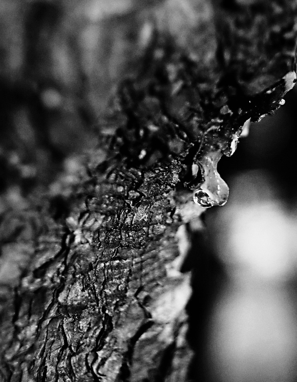 Příloha komentáře