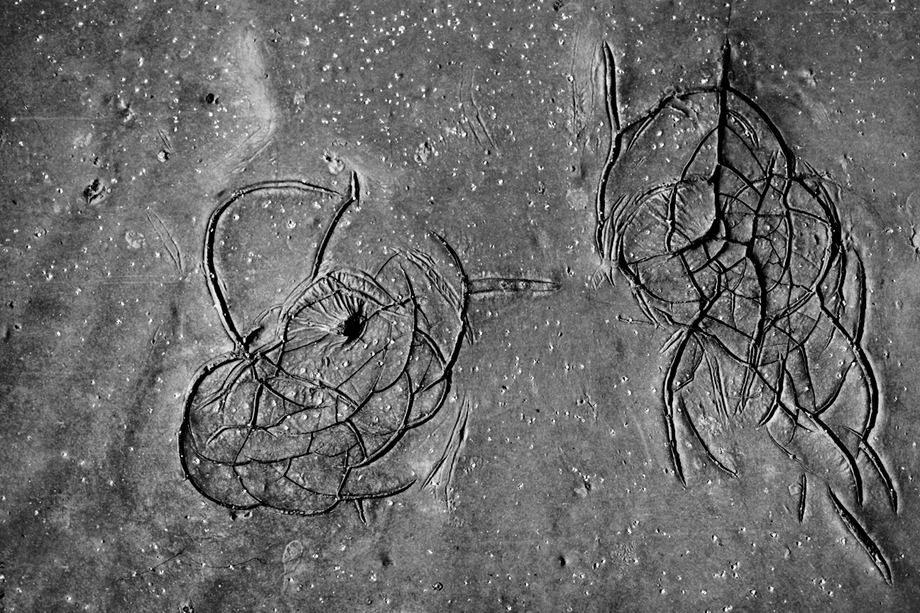 Příloha komentáře