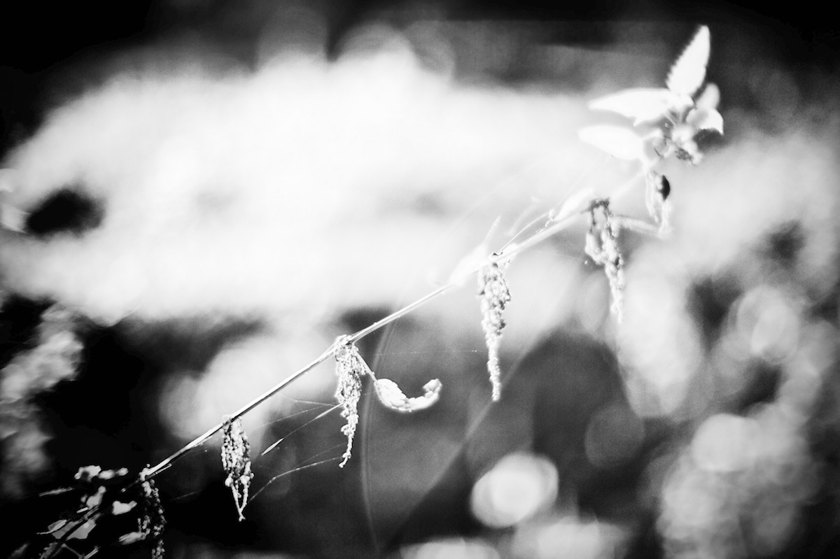 Příloha komentáře