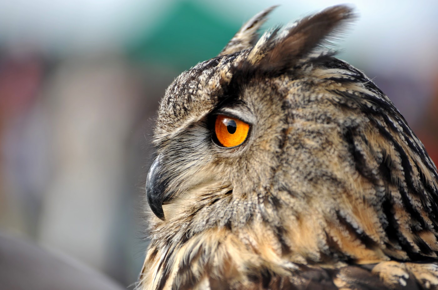 Příloha komentáře