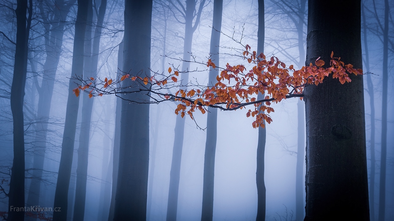 Příloha komentáře