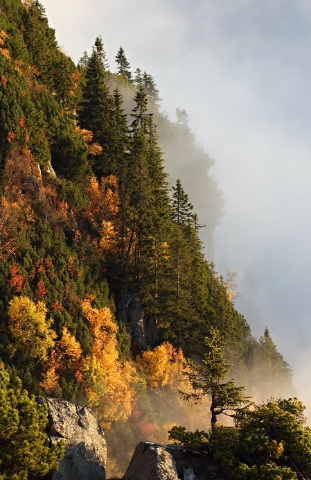 Příloha komentáře