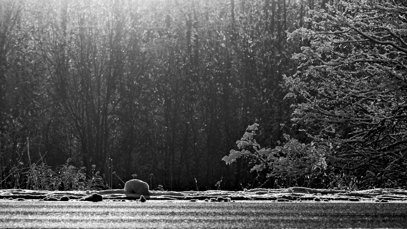 Příloha komentáře