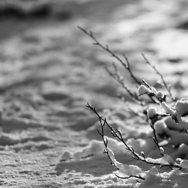 Příloha komentáře