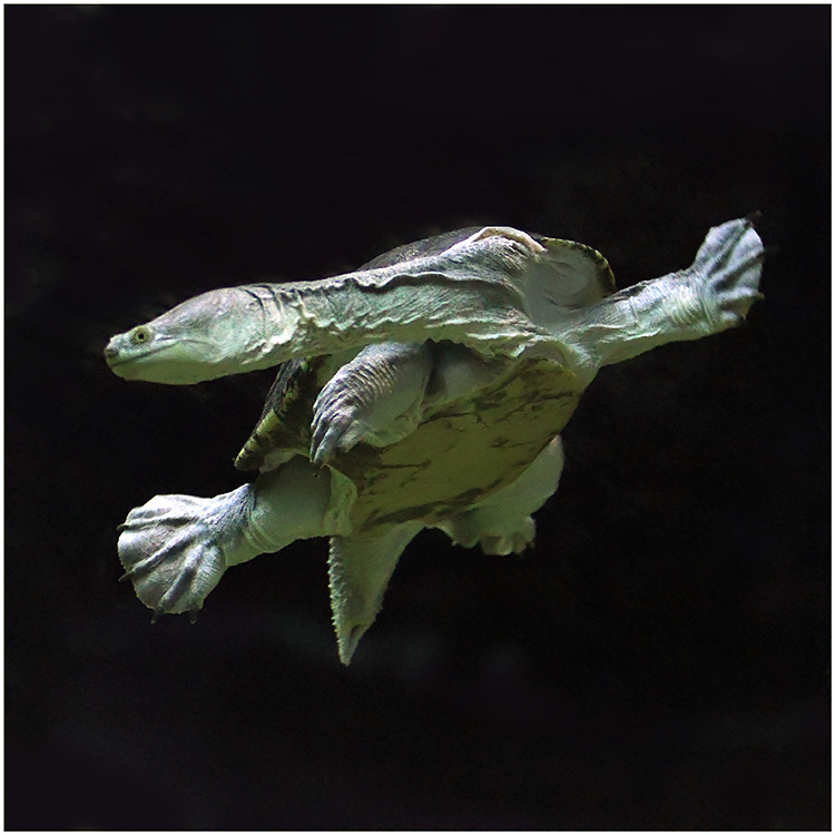 Příloha komentáře