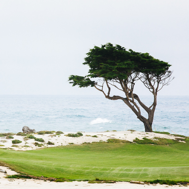 Příloha komentáře