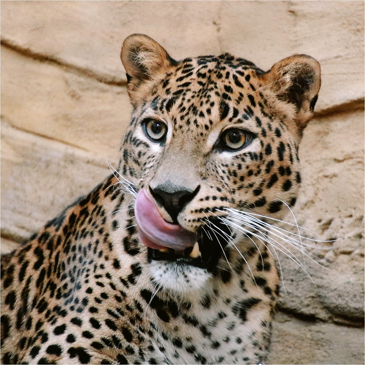 Příloha komentáře