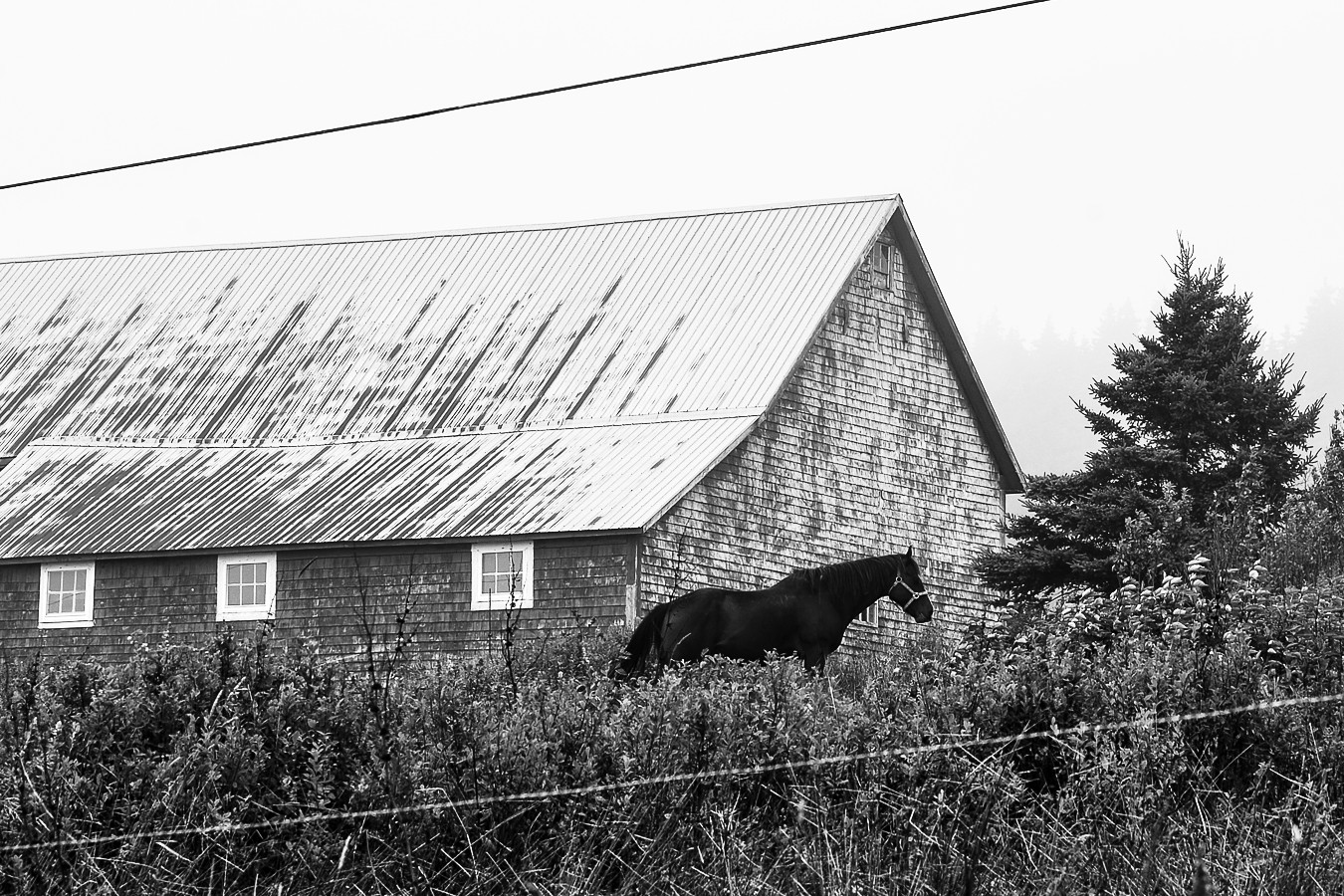 Příloha komentáře