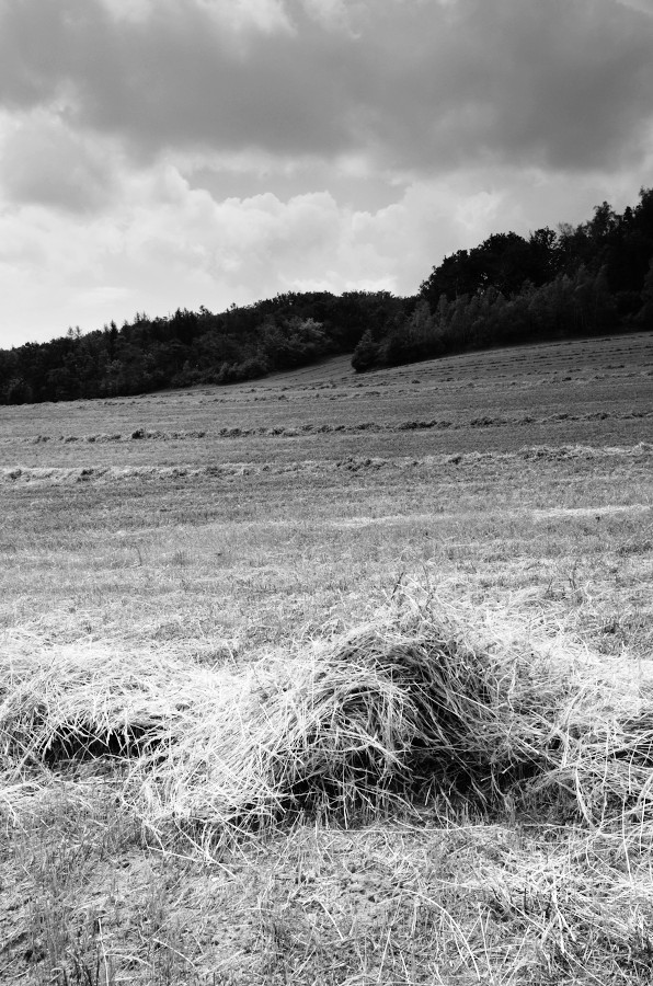 Příloha komentáře