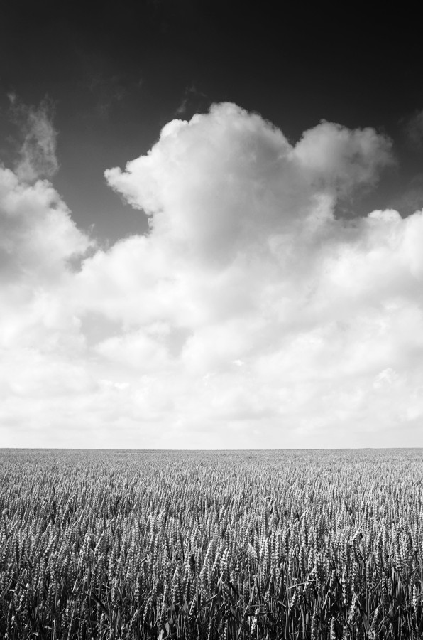 Příloha komentáře