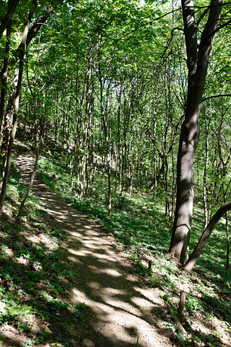 Příloha komentáře