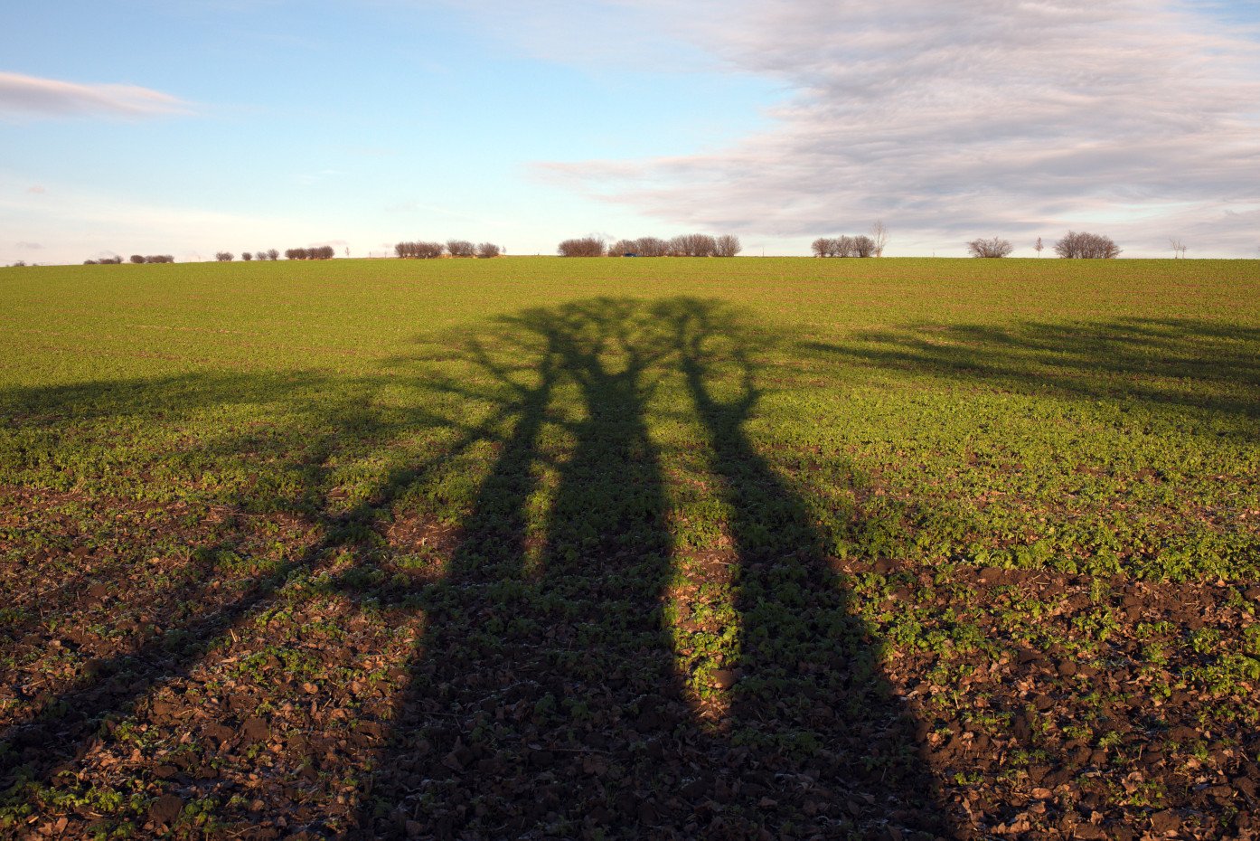 Příloha komentáře