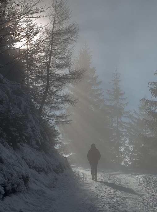Příloha komentáře