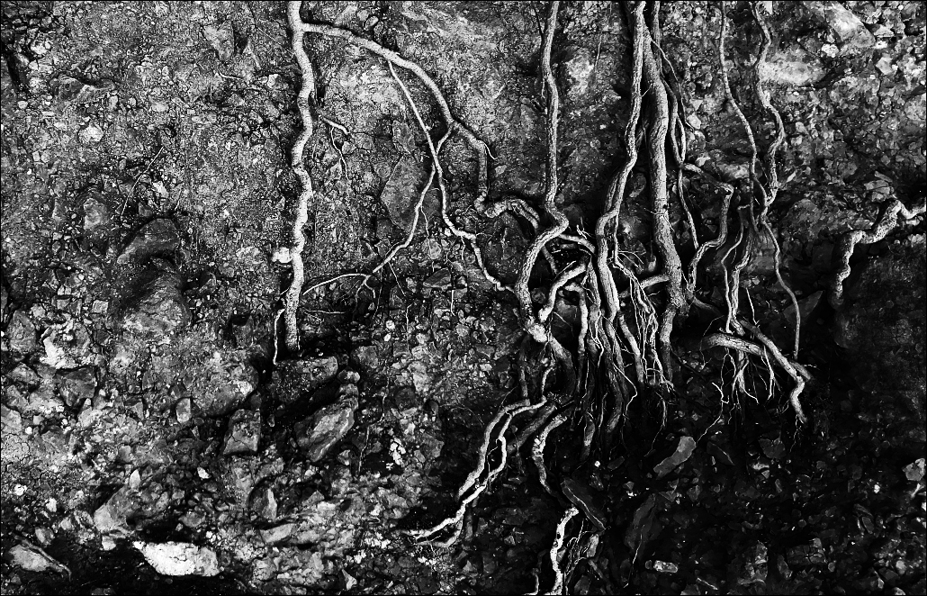 Příloha komentáře