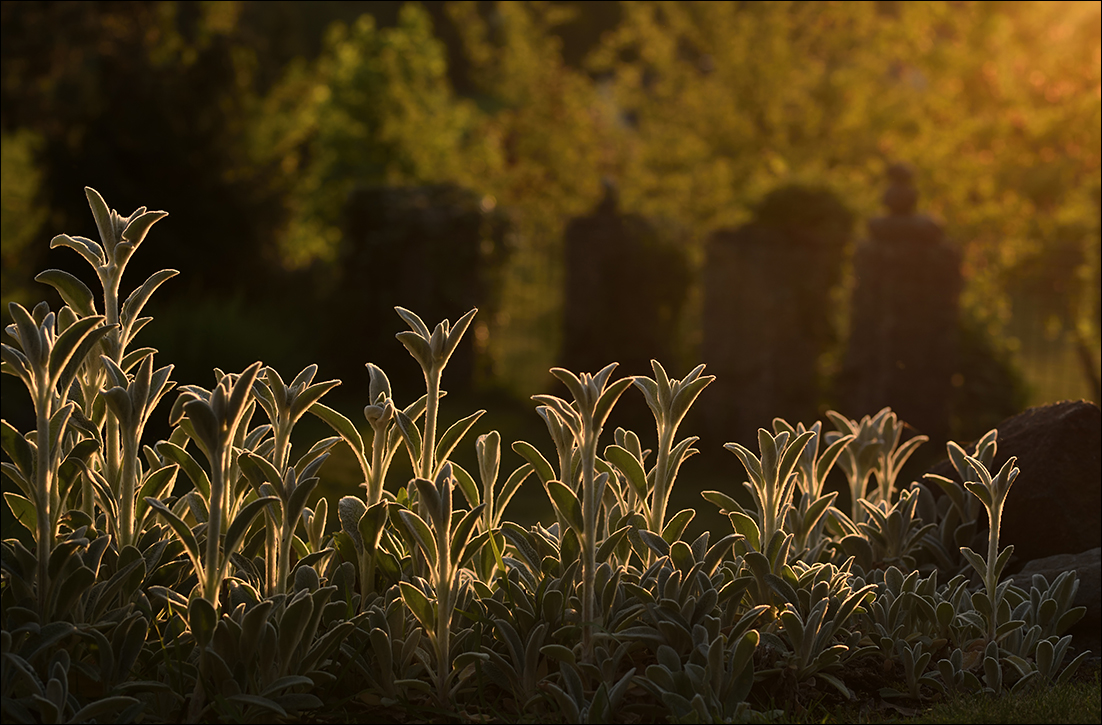 Příloha komentáře