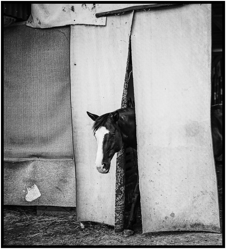 Příloha komentáře