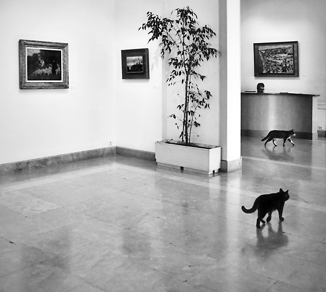 Příloha komentáře