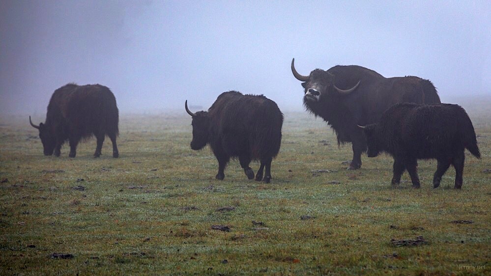 Příloha komentáře