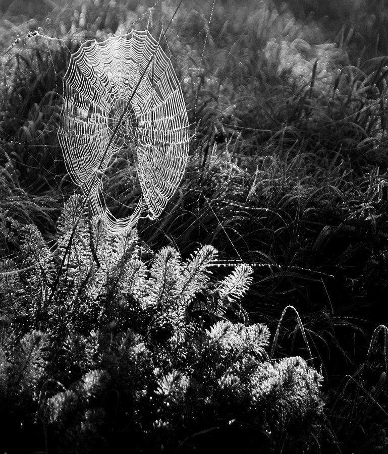 Příloha komentáře