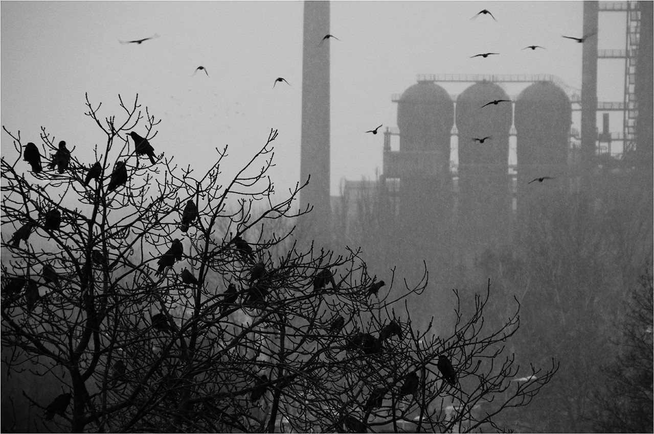 Příloha komentáře