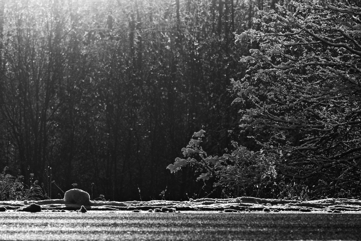 Příloha komentáře