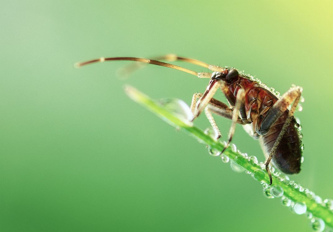 Příloha komentáře