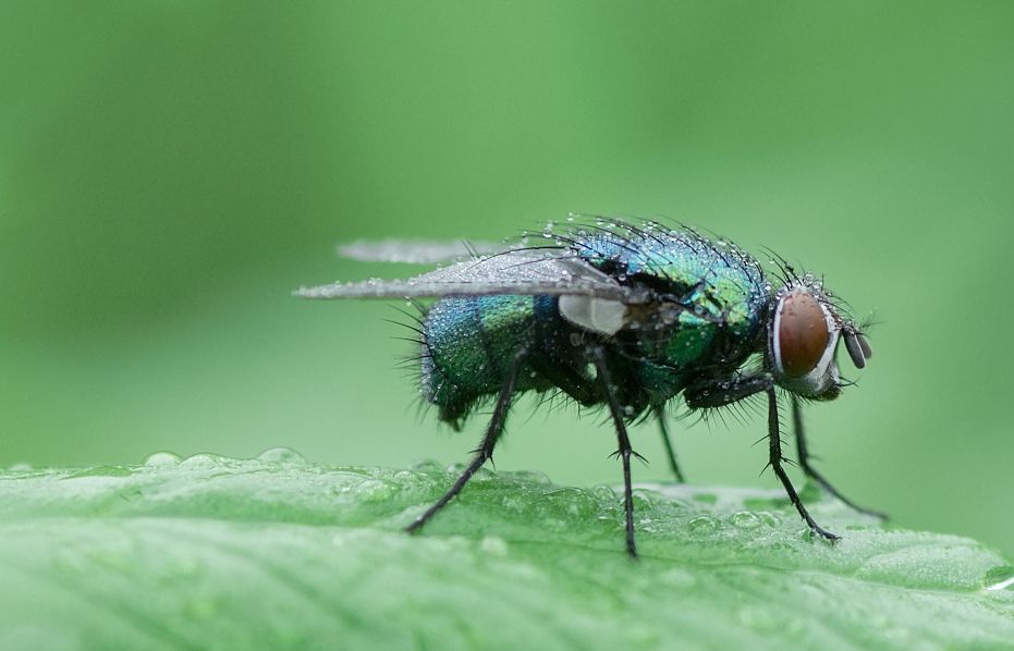 Příloha komentáře