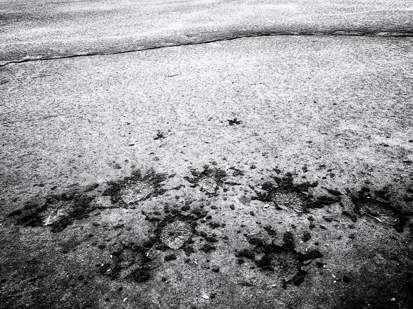 Příloha komentáře