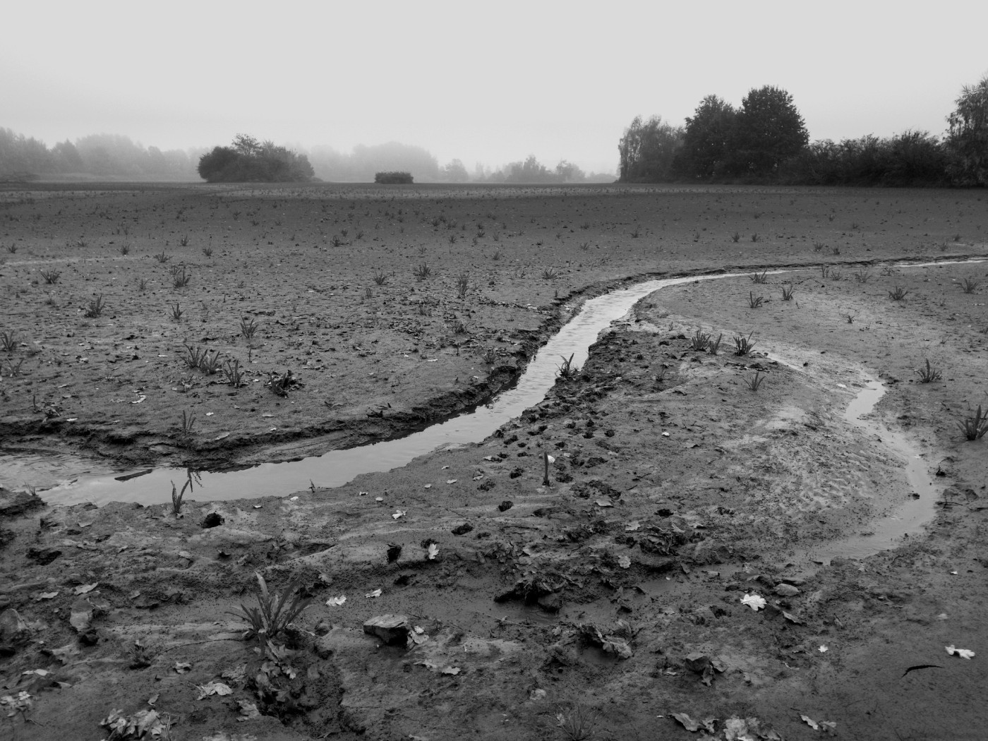 Příloha komentáře