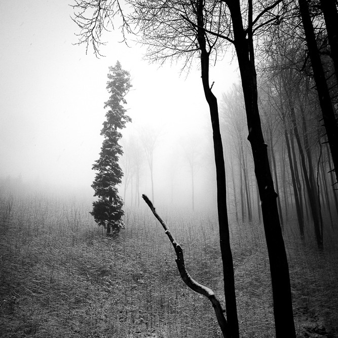 Příloha komentáře