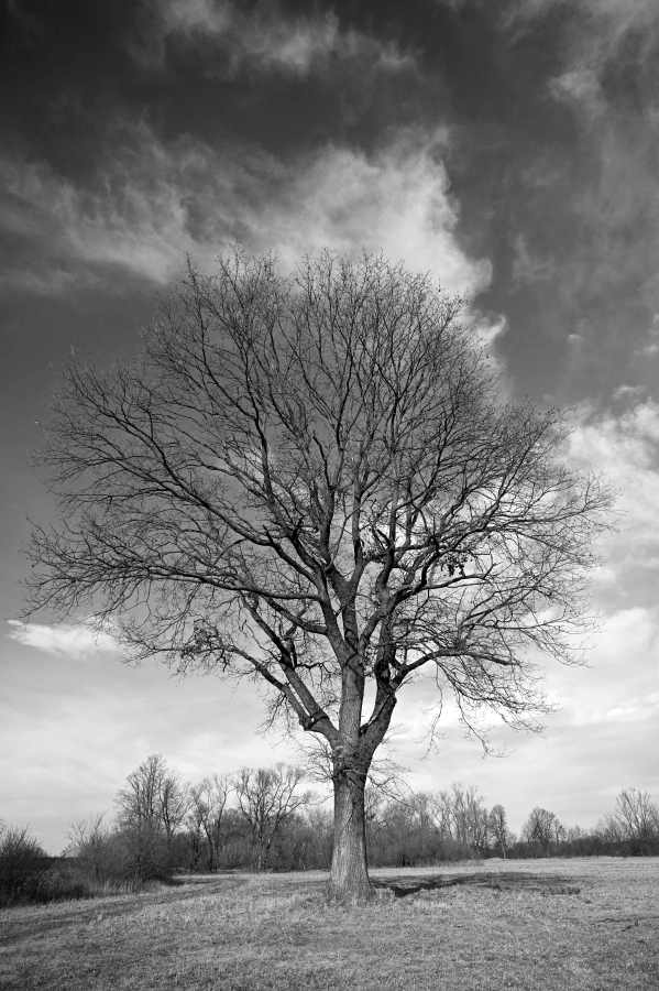 Příloha komentáře