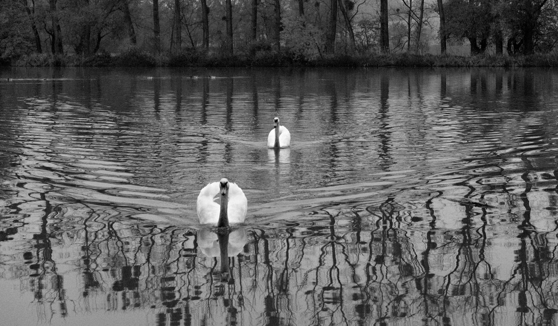 Příloha komentáře