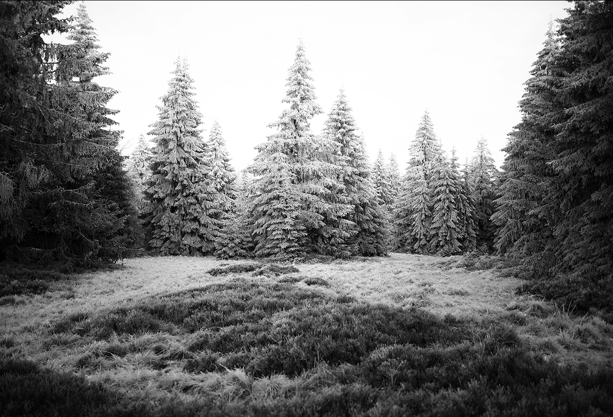 Příloha komentáře