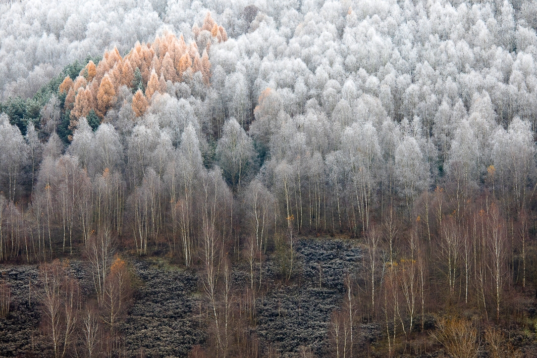 Příloha komentáře