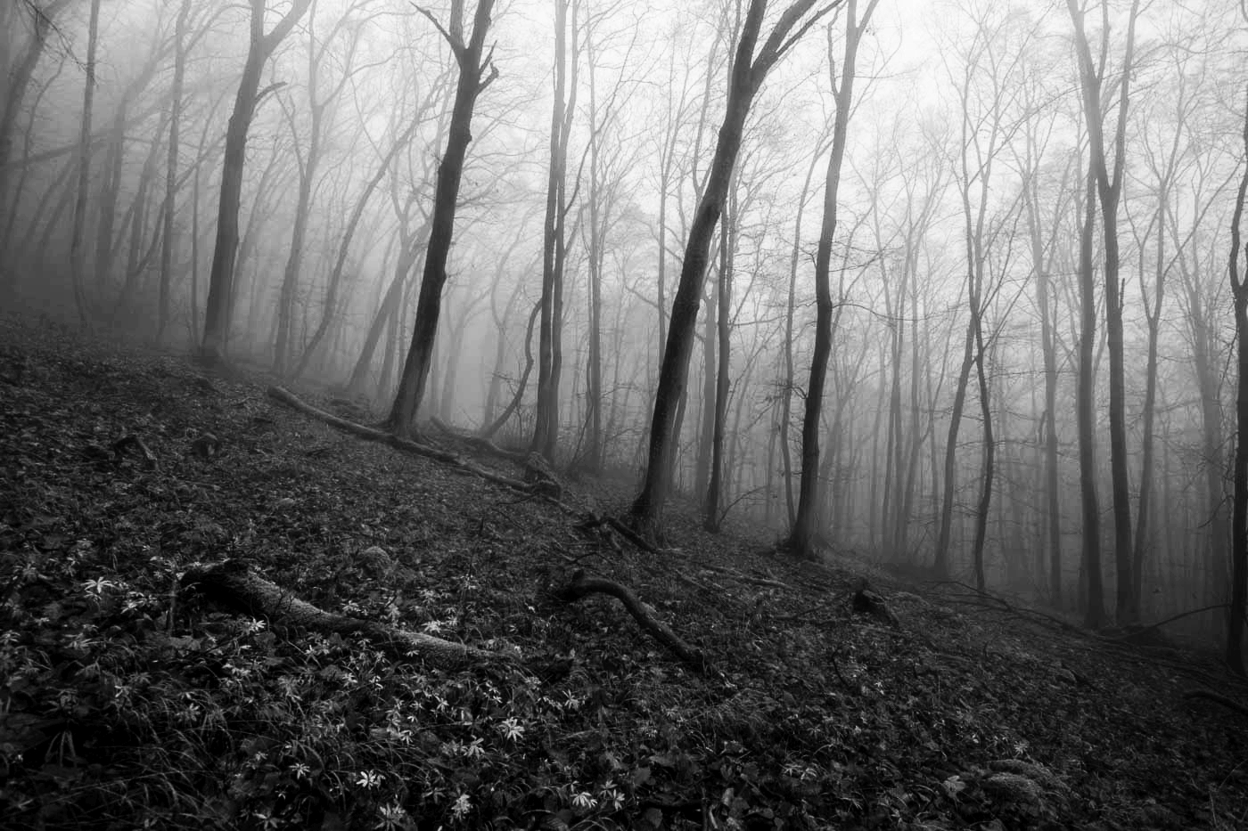 Příloha komentáře