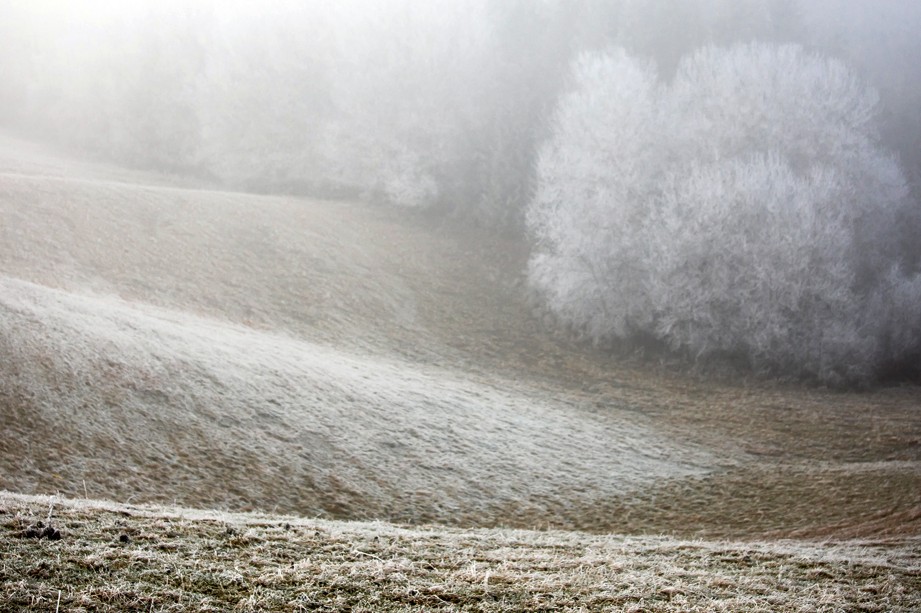 Příloha komentáře