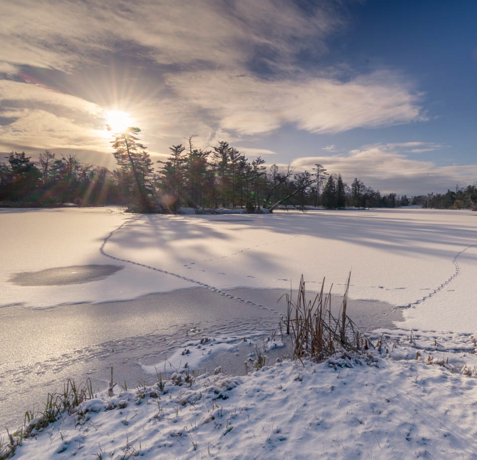 Příloha komentáře