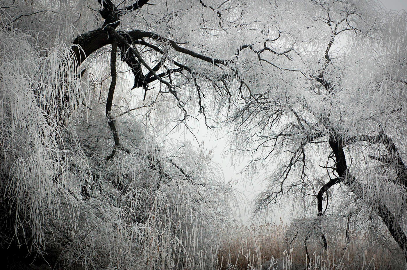 Příloha komentáře