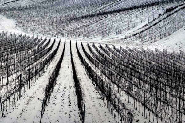 Příloha komentáře