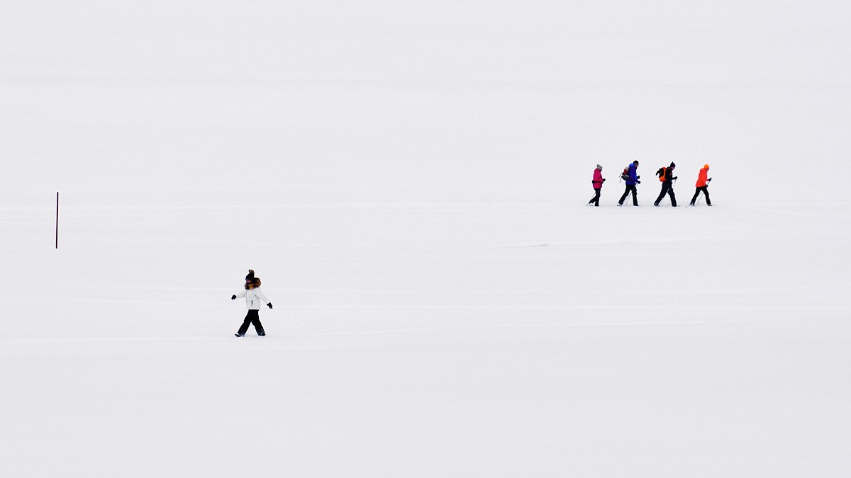 Příloha komentáře