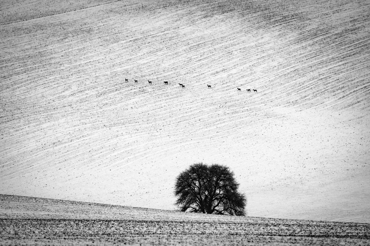 Příloha komentáře