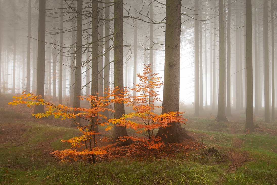 Příloha komentáře