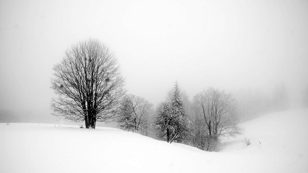 Příloha komentáře