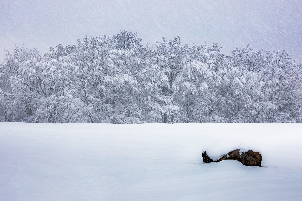 Příloha komentáře