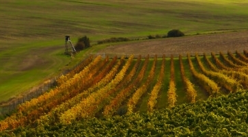 Příloha komentáře