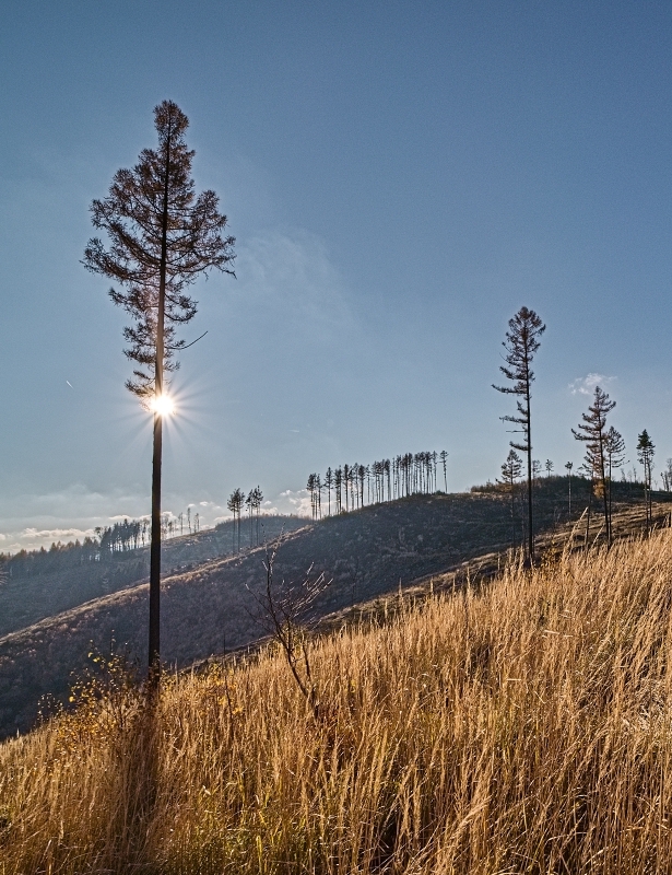 Příloha komentáře