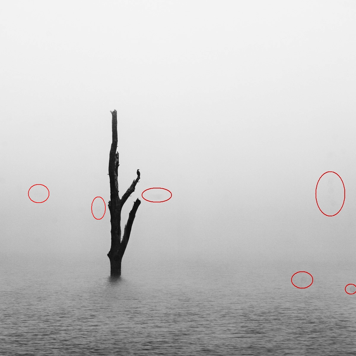 Příloha komentáře